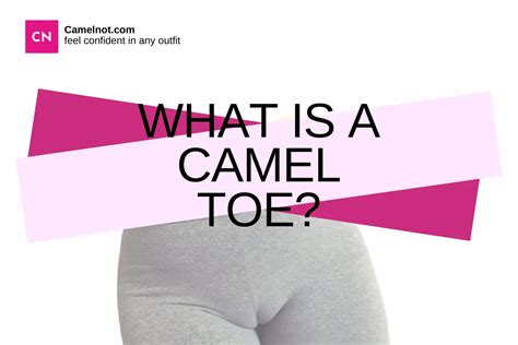 camel toe meaninh|Exploring the Meaning of Camel Toe: What Does This Phrase .